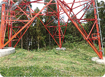 鉄塔敷除草・巡視路除草