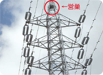 カラスパトロール