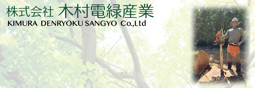 株式会社 木村電緑産業